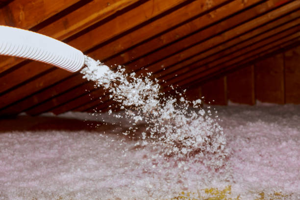 Trusted Ray City, GA Insulation Contractor Experts