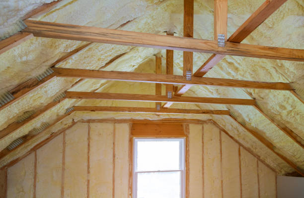 Best Commercial Insulation in Ray City, GA