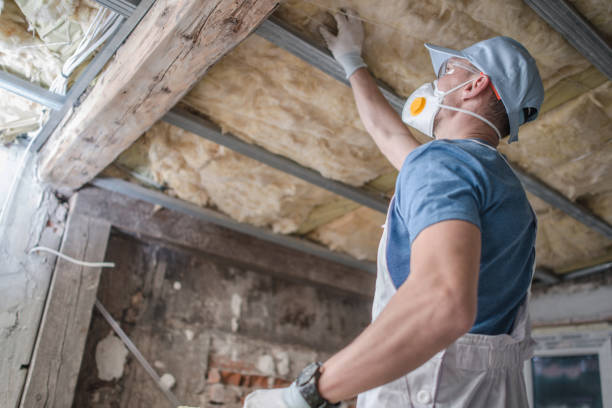 Best Blown-in Insulation in Ray City, GA