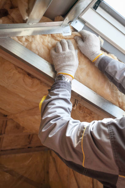 Best Insulation for Specific Applications in Ray City, GA