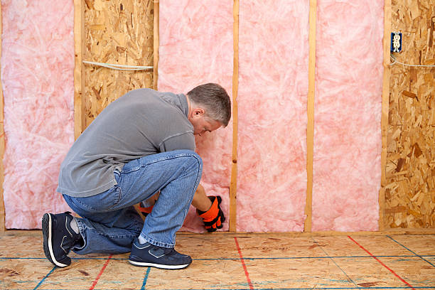 Types of Insulation We Offer in Ray City, GA