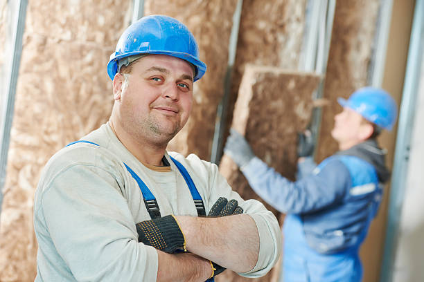 Best Residential Insulation in Ray City, GA
